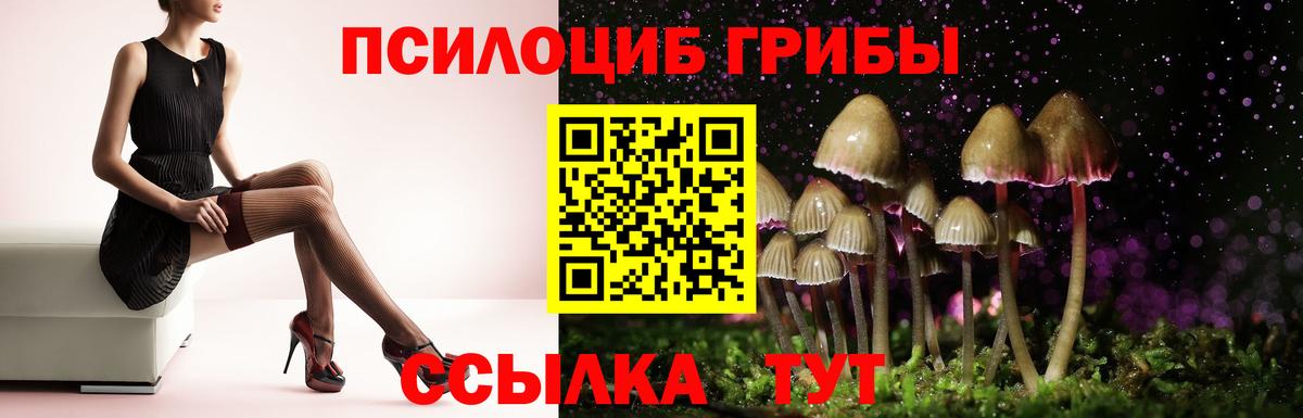 Железноводск  Галлюциногенные грибы прущие грибы  Вход с VPN  Псилоцибиновые грибы ЛСД 